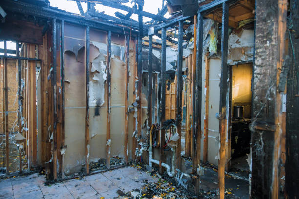 Professional Structural Rebuild technician working in Kenmore, WA